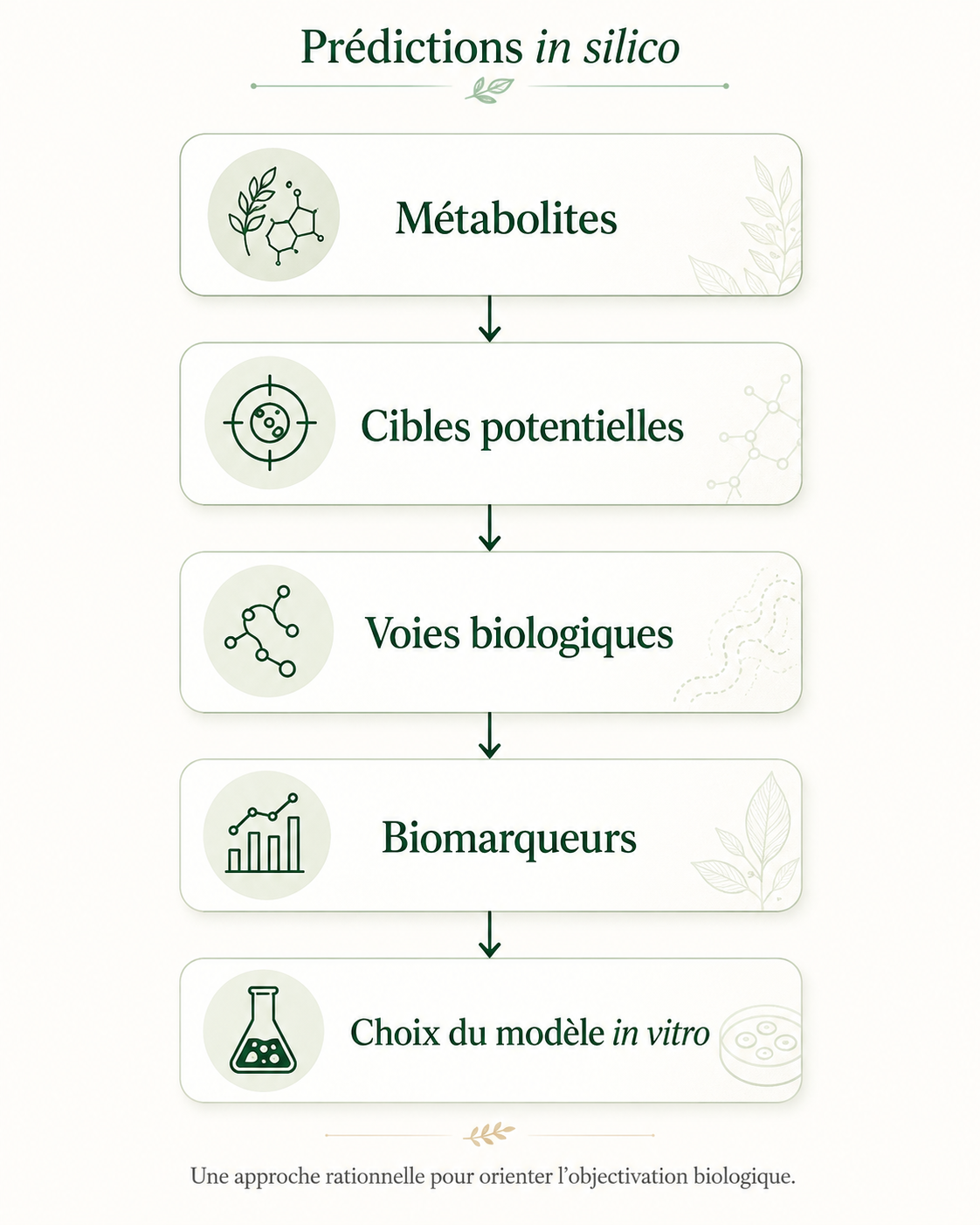Approche prédictive in silico reliant les métabolites aux cibles potentielles, aux voies biologiques, aux biomarqueurs et au choix du modèle in vitro
